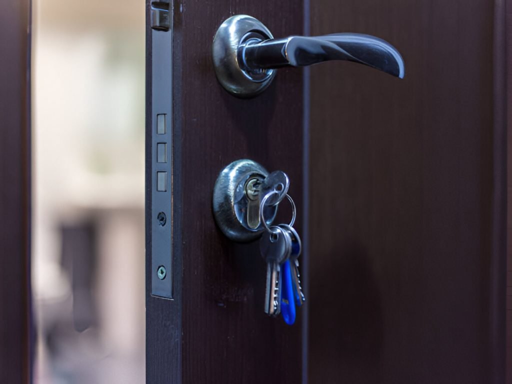 Professional Locksmith